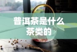 普洱茶是什么茶类的