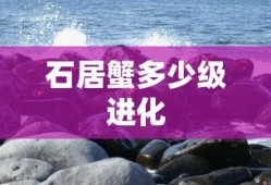 石居蟹多少级进化
