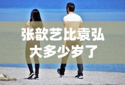 张歆艺比袁弘大多少岁了