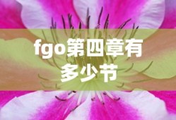 fgo第四章有多少节
