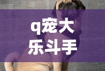q宠大乐斗手机版