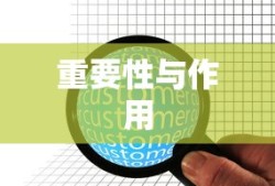 深入理解ORM框架，作用与重要性