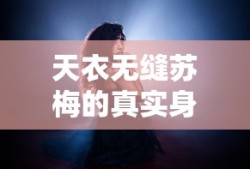 天衣无缝苏梅的真实身份是什么