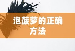 泡菠萝的正确方法