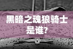 黑暗之魂狼骑士是谁?