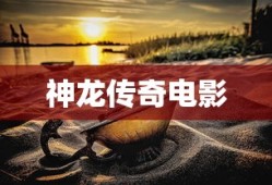 神龙传奇电影