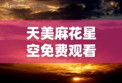 天美麻花星空免费观看电视