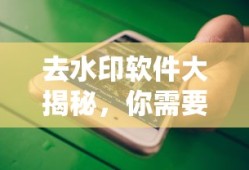 去水印软件全面解析，必备工具一网打尽！