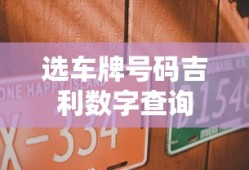 选车牌号码吉利数字查询