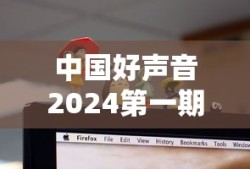 中国好声音2024第一期预告