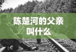 陈楚河的父亲叫什么