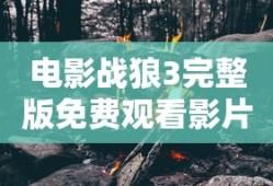 电影战狼3完整版免费观看影片高清