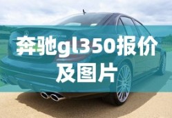 奔驰gl350报价及图片