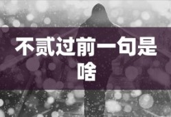不贰过前一句是啥
