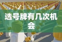 选号牌有几次机会