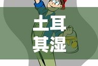 土耳其湿拓画简介
