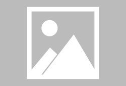 大侠立志传咬定青山任务卡关解决方法