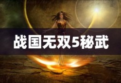 战国无双5秘武