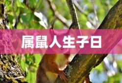 属鼠人生子日，命运交织的奇妙缘分