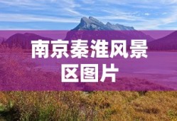 南京秦淮风景区图片