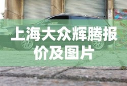 上海大众辉腾报价及图片