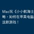 Mac玩《小小航海士外传》攻略，如何在苹果电脑上畅玩这款游戏！