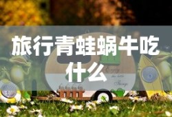 旅行青蛙蜗牛吃什么
