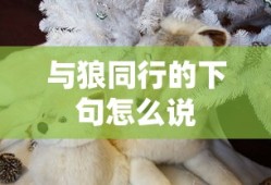 金志明是什么电视剧里的人物
