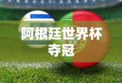 阿根廷世界杯夺冠