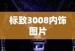 标致3008内饰图片