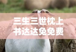 三生三世枕上书达达兔免费观看
