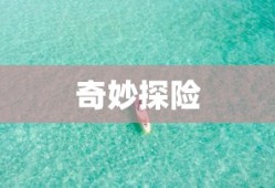 蹦蹦兔的奇妙冒险，蹦蹦兔的冒险之旅，奇妙探险之旅