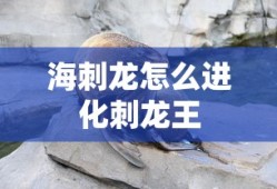 海刺龙怎么进化刺龙王