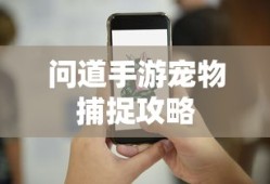 专四题型及分值分布全面解析