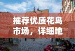 qq飞车手游体验服下载官网