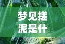 梦见搓泥是什么意思