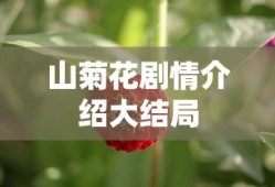 山菊花剧情介绍大结局