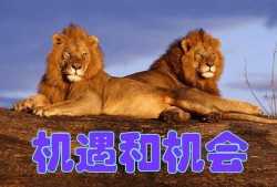 悟空影视mv免费观看