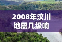 2008年汶川地震几级响应