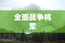 全面战争将军