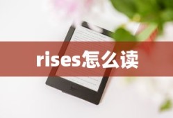 rises怎么读