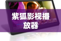 紫狐影视播放器