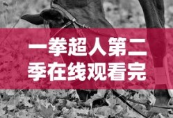 一拳超人第二季在线观看完整版免费