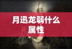 月迅龙弱什么属性