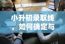 小升初录取线的确定与应对策略探讨