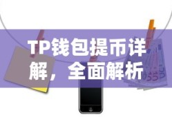 TP钱包提币详解，全面解析与操作指南