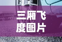 三厢飞度图片大全