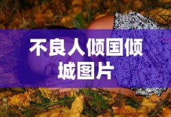 不良人倾国倾城图片