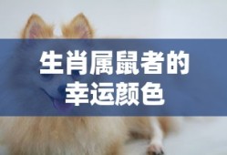 蜀门手游新手入门指南——玩转蜀门世界，轻松上手！