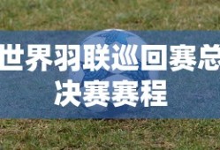 世界羽联巡回赛总决赛赛程